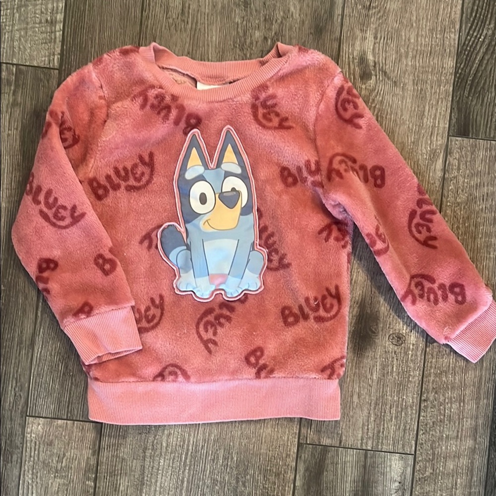 Pink Bluey Sweatshirt - Picture 1 of 4